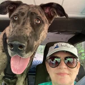 Meet your Posher, Sandy